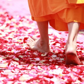 monk walking rose petals