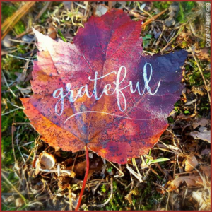 Leaf with word "grateful" on it.