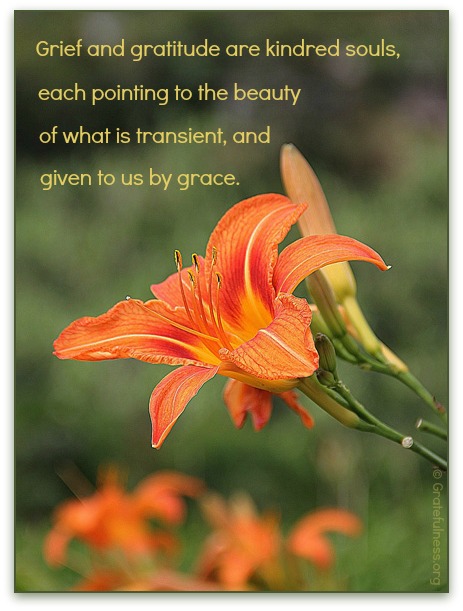 grief, gratitude, orange day lily, grace, beauty