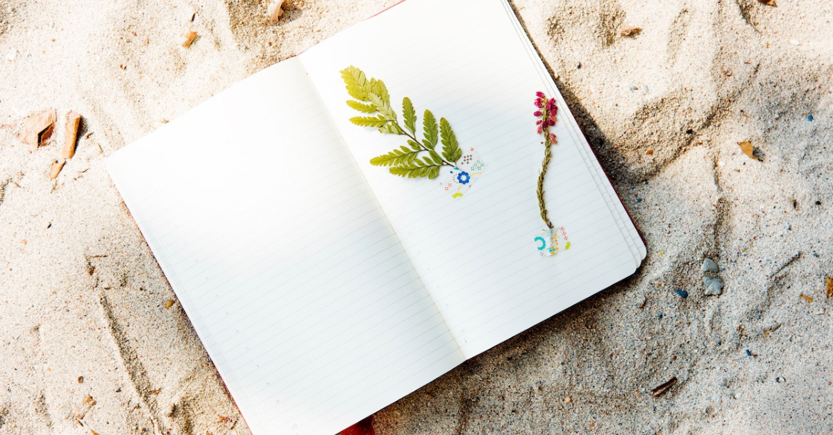 Free Online Gratitude Journal - Your Private Journal at Gratefulness.org