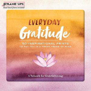 Everyday Gratitude Frame-Ups Cover