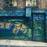 monarch butterfly mural painted on garage door of a brick building