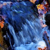 water rushing downward in a blur over rocks covered in fallen leaves