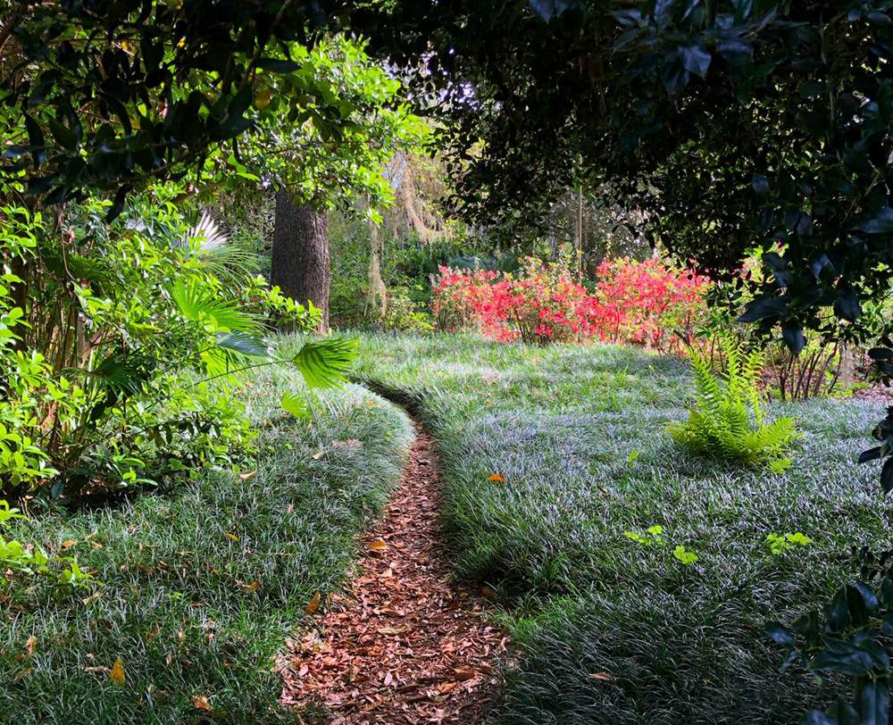 narrow curving mulched path leading through grass flowers and trees