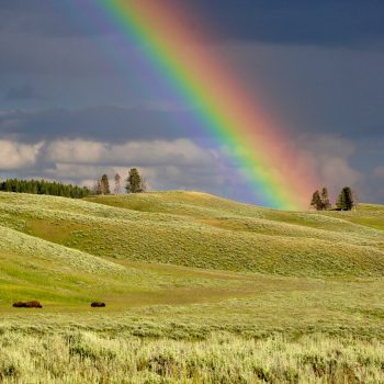 a rainbow band above a green hillside