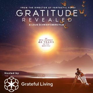 Join Us on World Gratitude Day for the Global Online Premiere of Gratitude Revealed